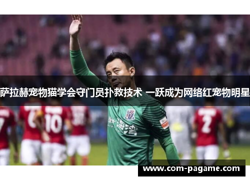 萨拉赫宠物猫学会守门员扑救技术 一跃成为网络红宠物明星 萨拉赫宠物猫学会守门员扑救技术 一跃成为网络红宠物明星