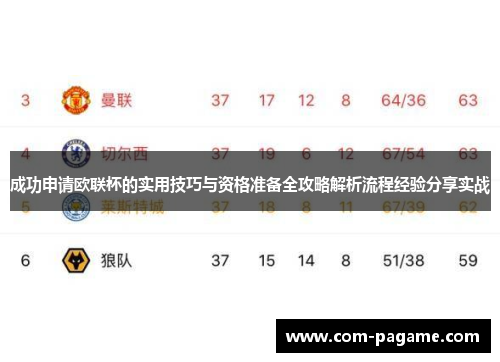 成功申请欧联杯的实用技巧与资格准备全攻略解析流程经验分享实战