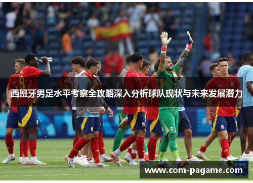 西班牙男足水平考察全攻略深入分析球队现状与未来发展潜力 西班牙男足水平考察全攻略深入分析球队现状与未来发展潜力