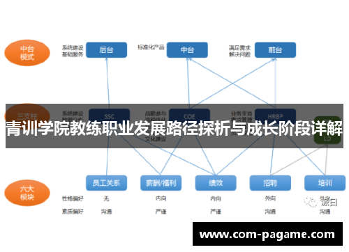 青训学院教练职业发展路径探析与成长阶段详解