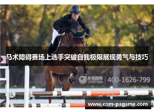 马术障碍赛场上选手突破自我极限展现勇气与技巧